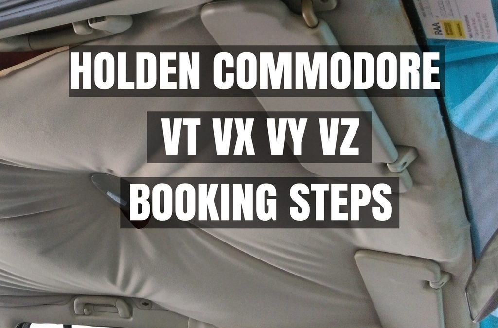 HOLDEN Commodore VT VX VY VZ